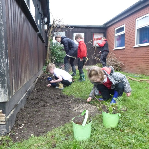 Bringing the garden space back to life